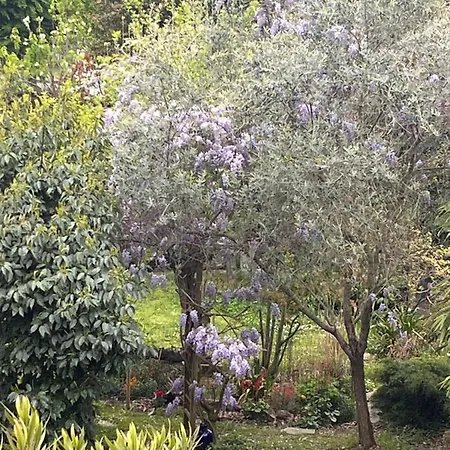 Privatunterkunft A And Garden Close To Paris Vitry-sur-Seine