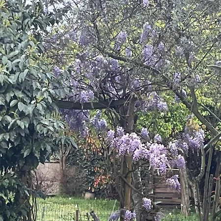 A And Garden Close To Paris Privatunterkunft *